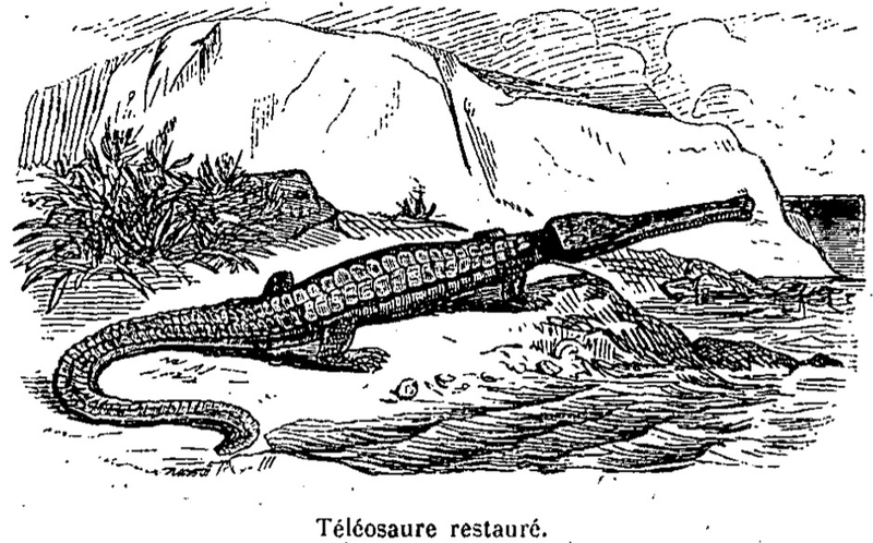 Illustration for article titled Strange 19th Century Drawings of Dinosaurs and Other Extinct Animals